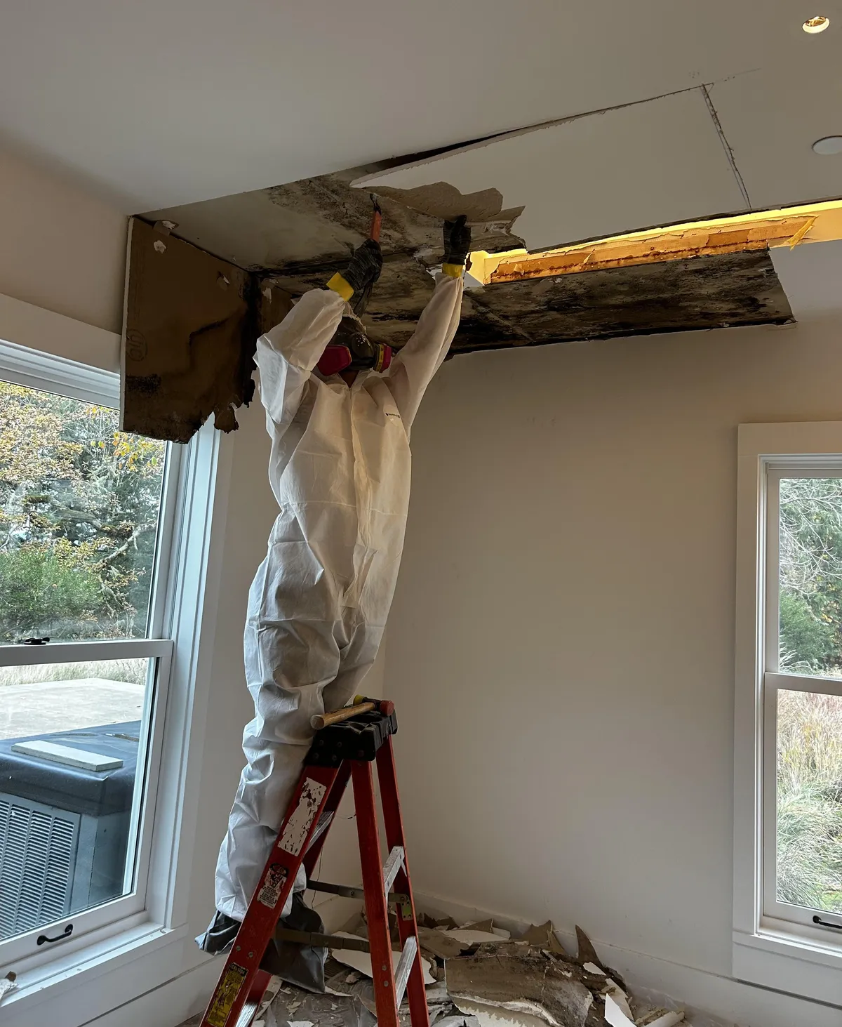 Assessment — restoration process step 01