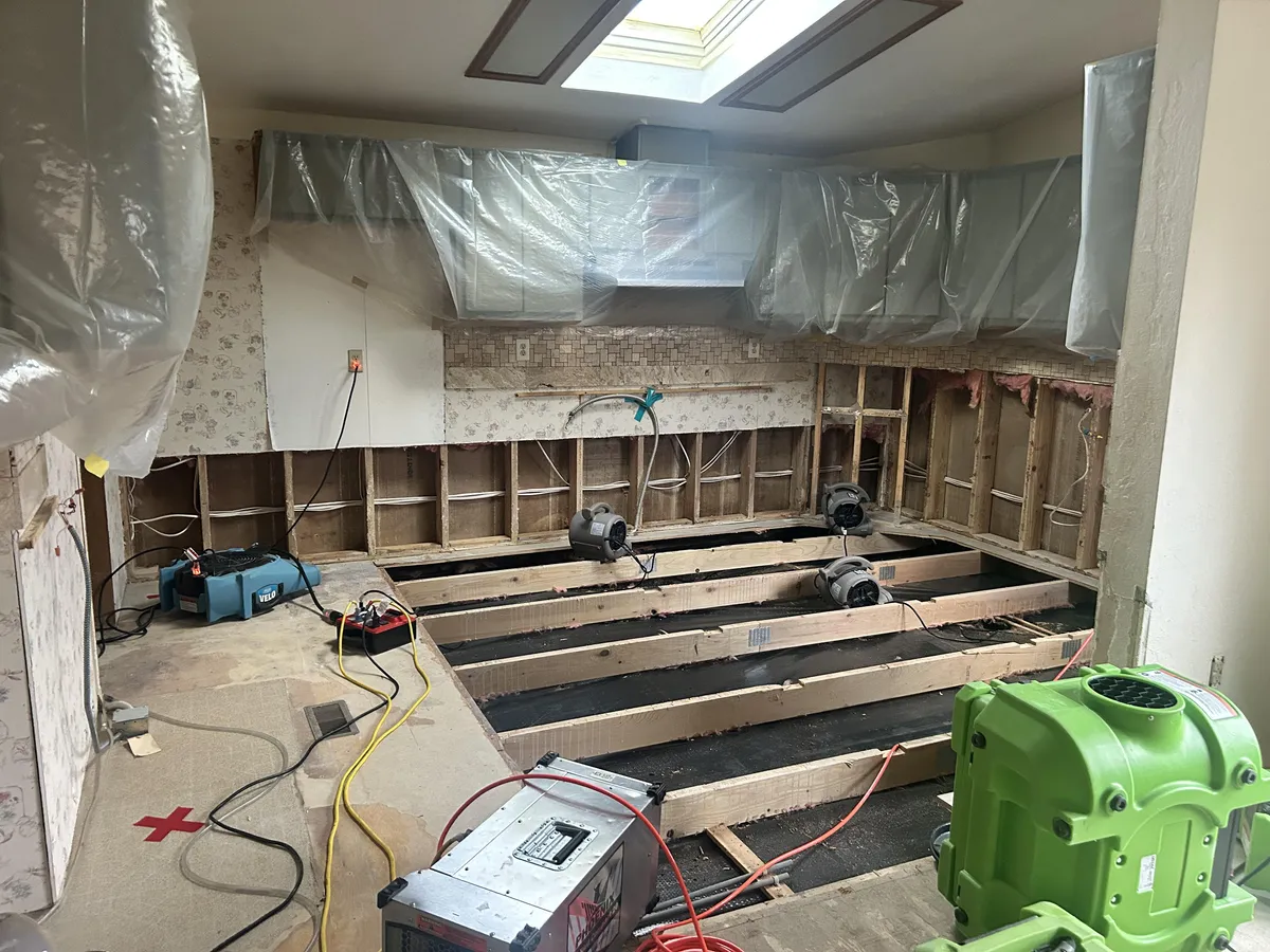 Mitigation — restoration process step 02