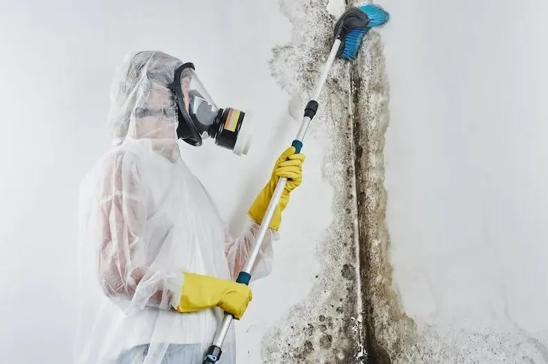 Zero Spore Restoration technician at work